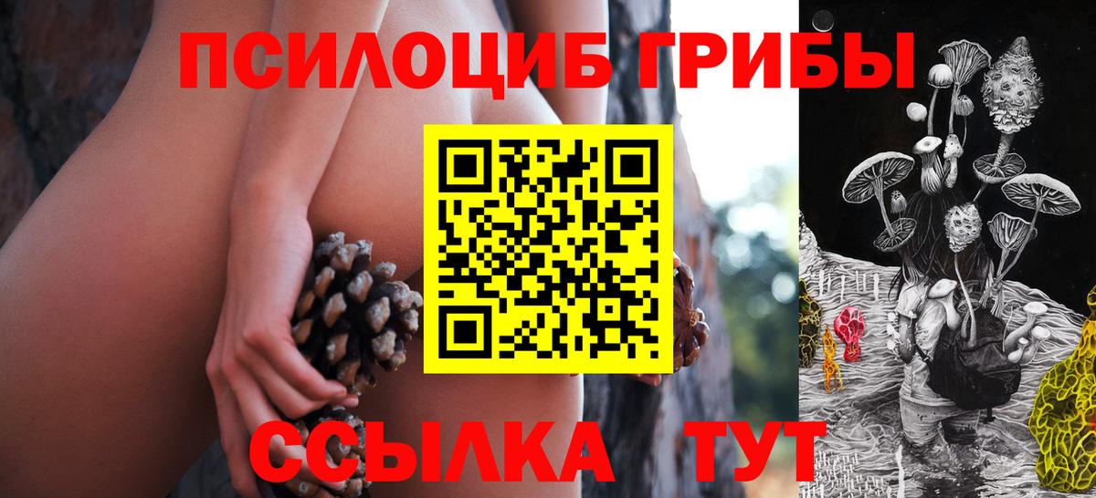 Галлюциногенные грибы Cubensis Гагарин